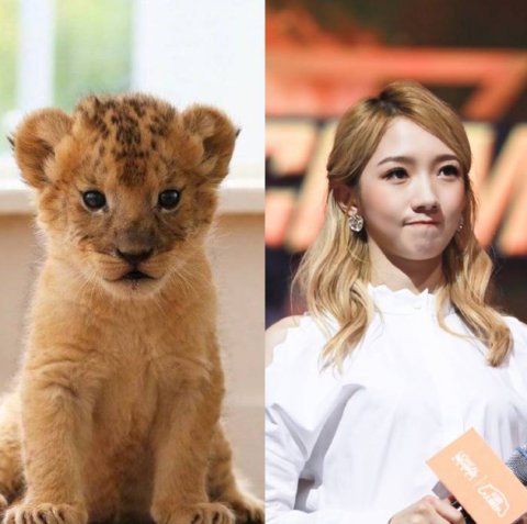 �����ײ������ �����ײ����������������