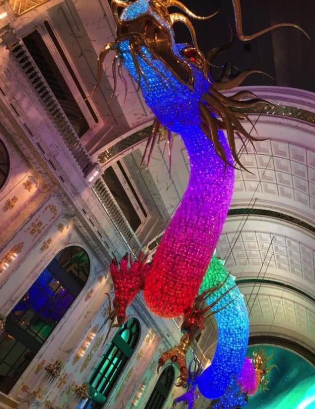 吴佩慈拼四胎原因 吴佩慈四胎最新消息