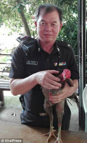 毒贩逼两鸡吞1400粒冰毒 警方要求毒贩向鸡道歉!