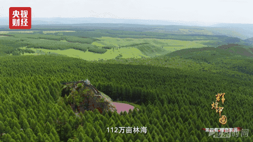 政策密集出台中国铁腕宣战  美丽中国升级提速!