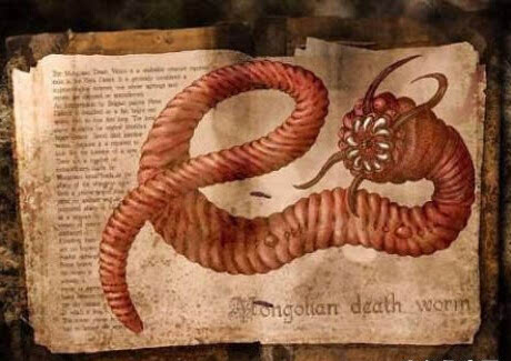 ¼̵㣡