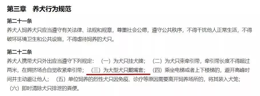 大狗咬伤日籍女子 上海日籍女子被大型犬咬