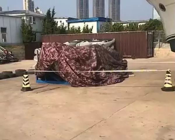 被摩托艇撞头身亡 大连一男子游泳被摩托艇撞头 抢救无效身亡