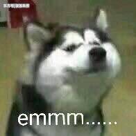 女员工跪地互相抽脸   个性?