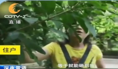 16楼扔下灭火器 肇事13岁男孩和家长致歉无用