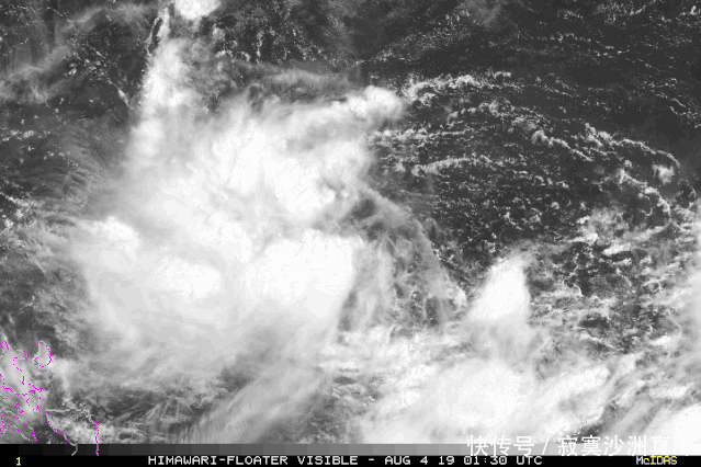 9号利奇马台风 今年第9号台风“利奇马”动态